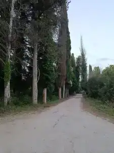 Амели - 132