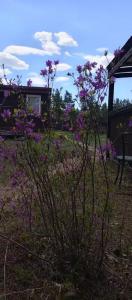 Family house - 33
