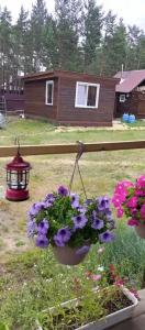 Family house - 25