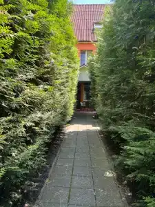 Домашний Очаг - 48