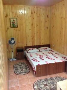 Солнечный двор у Сюзанны - 9