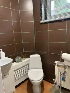 Домашний Очаг - 58