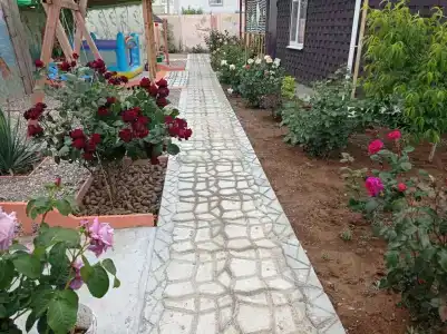 Лукоморье - 257