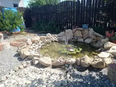 Лукоморье - 262