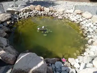 Лукоморье - 265