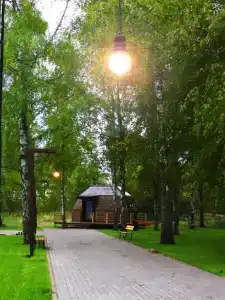 Гнездовье - 33