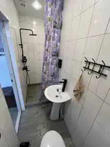 Зеленое солнце - 46