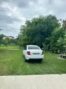 Кумкват - 26