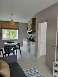 Ласточкин - 29