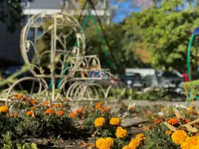Пансионат Дача генерала Николаева - 71