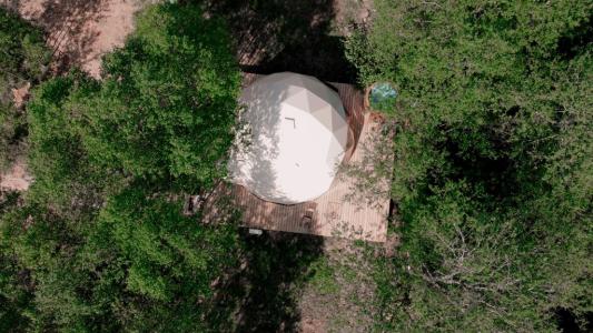 Вазуза Лав - 205