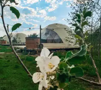 Вазуза Лав - 281