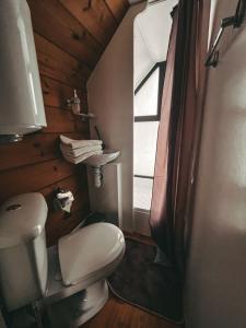 Вазуза Лав - 315