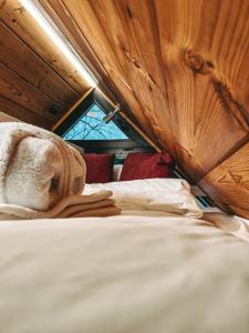 Вазуза Лав - 306