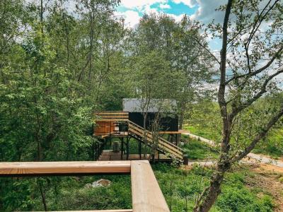 Вазуза Лав - 310