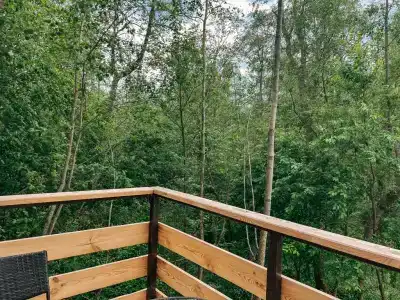 Вазуза Лав - 311