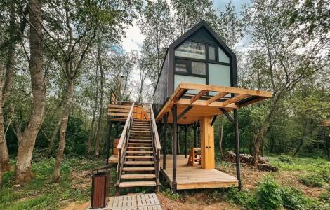 Вазуза Лав - 296