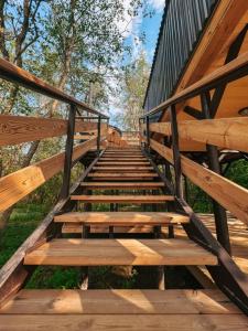 Вазуза Лав - 312