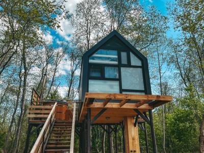 Вазуза Лав - 313