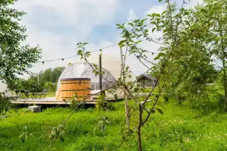 Вазуза Лав - 325