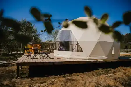 Вазуза Лав - 332