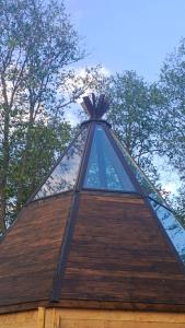 Вазуза Лав - 337