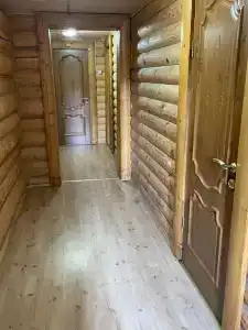 Заполек - 19