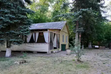 Мечта - 96