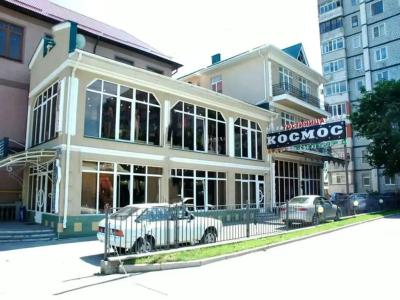 Kosmos - 19