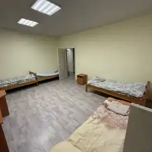 12 - 50