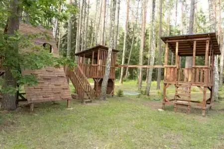 Forest City - 21