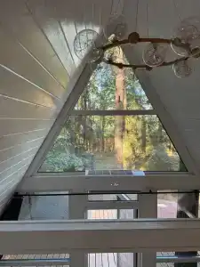 Forest City - 17
