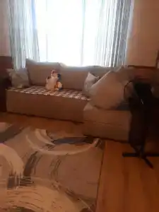 Попутный ветер - 118