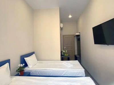 Шульгин - 10