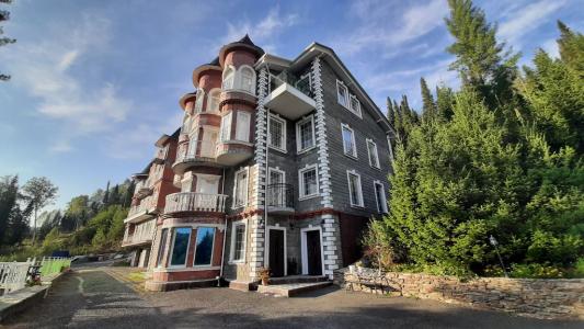 Замок Эдельвейс - 120