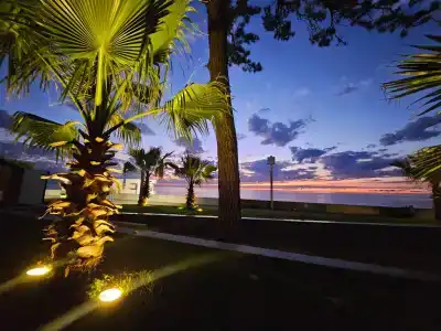 LSD - 49