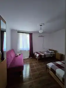 LSD - 55
