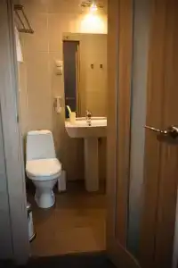 Гончаровъ - 17