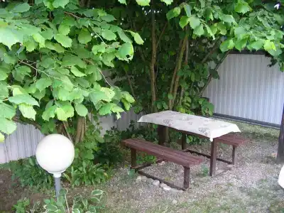 Панорама - 3