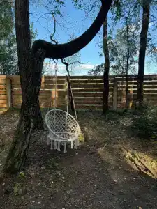 Forest City - 31