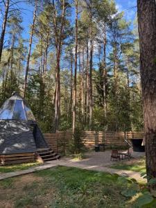 Forest City - 34