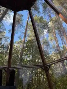Forest City - 38