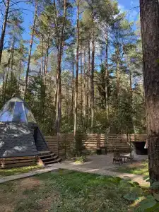 Forest City - 46