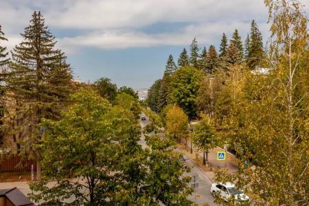 Old Park - 87
