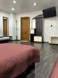 Вишера - lite - 25