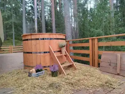Террасы - 62