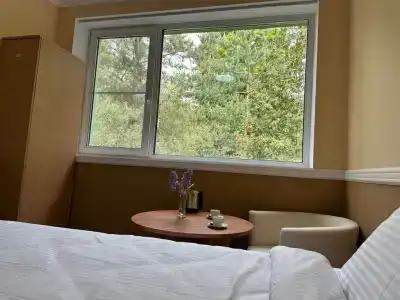 Forest Relax - 18