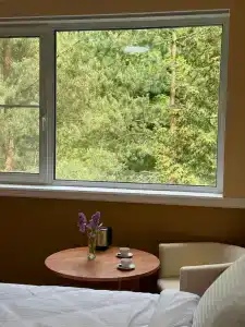 Forest Relax - 19