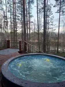 Forest Lake - 99