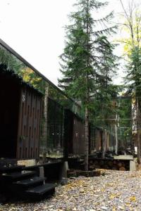 Кавказский двор - 35